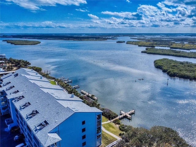 bird's eye view with a water view