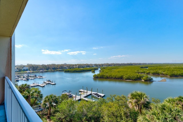 property view of water featuring a dock