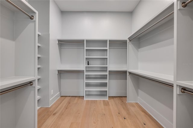 walk in closet featuring light wood-style floors