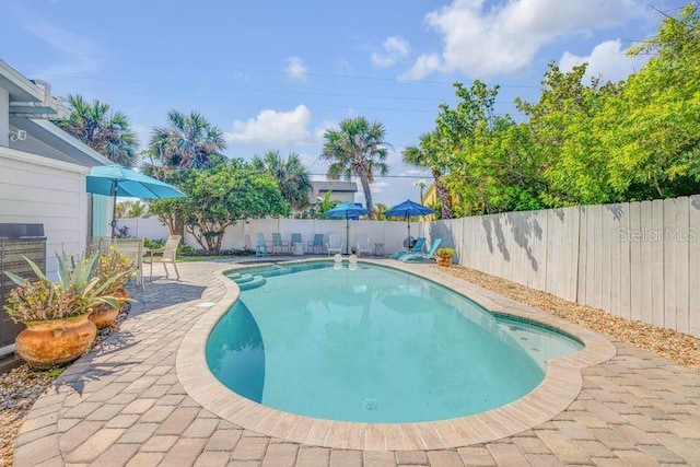 view of swimming pool featuring a patio, a fenced backyard, and a fenced in pool