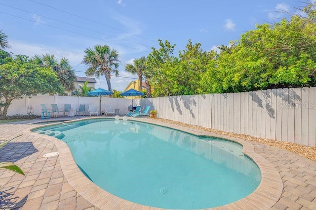 view of pool featuring a fenced backyard, a fenced in pool, and a patio