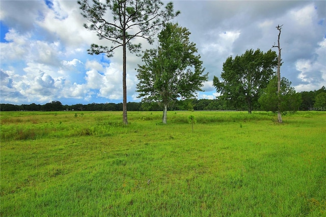 view of yard featuring a rural view