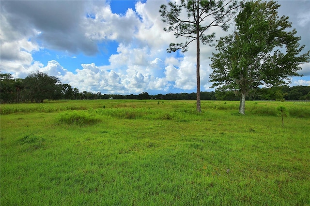 view of yard featuring a rural view