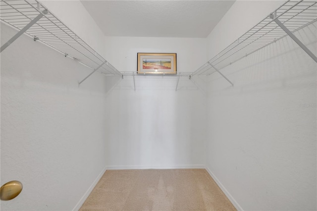 407 Bouchelle Dr Unit 205, New Smyrna Beach, FL 32169 - spacious closet with light colored carpet