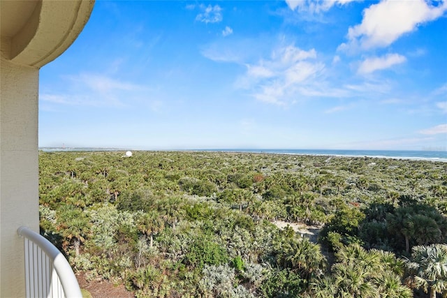 exterior space featuring a beach view