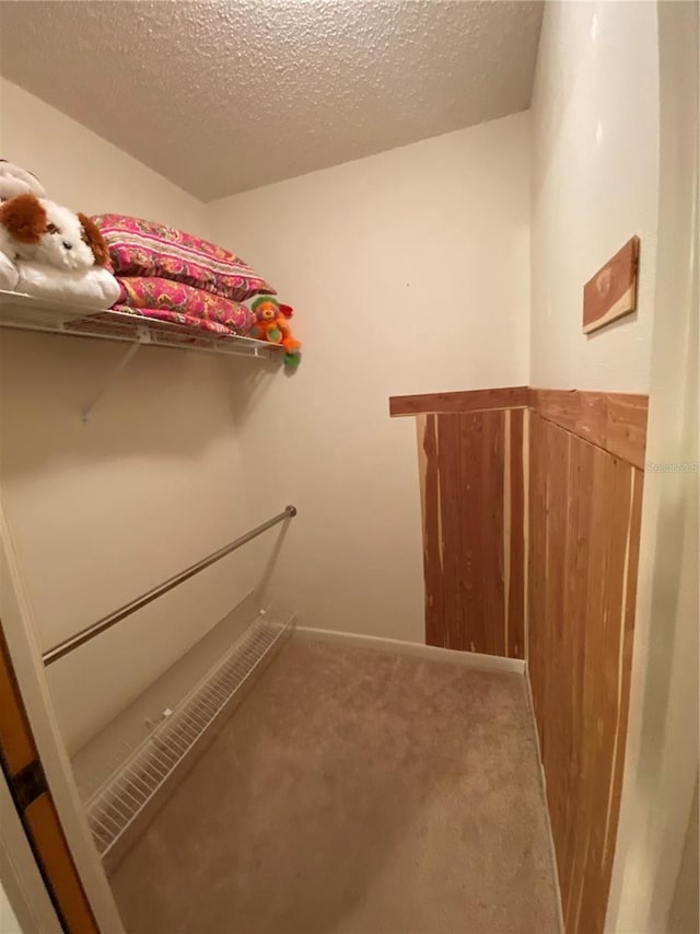 spacious closet with carpet