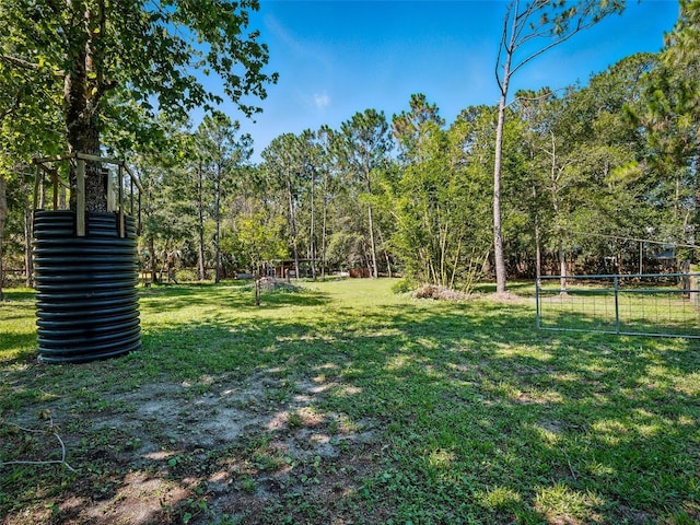 1370 Jane Lacey Ln, New Smyrna Beach, FL 32168 - view of yard