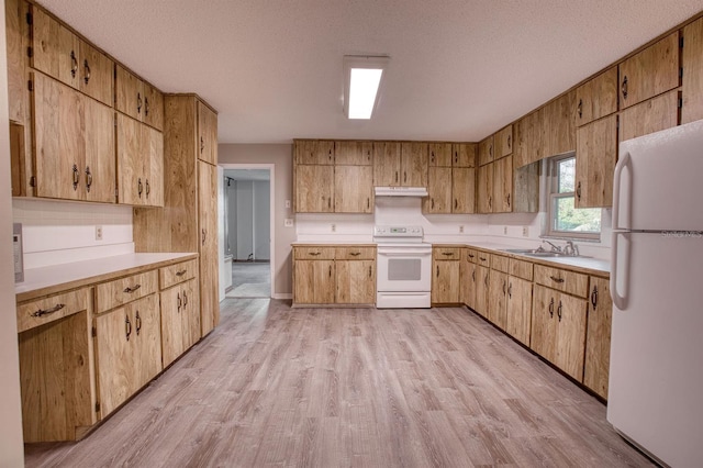 kitchen featuring light countertops, light wood-style floors, a sink, white appliances, and under cabinet range hood