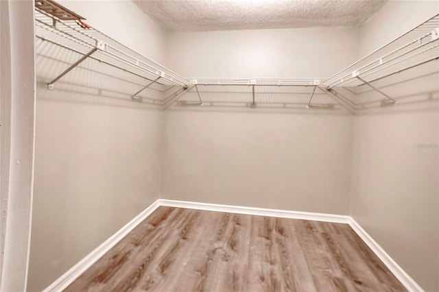 spacious closet with wood finished floors