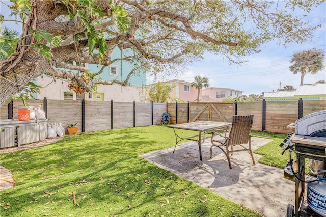 view of yard featuring a patio area and a fenced backyard