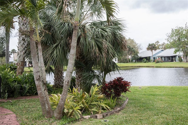 view of water feature