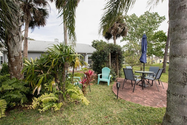 view of yard featuring a patio area