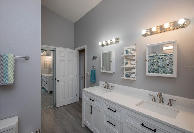 bathroom featuring lofted ceiling, double vanity, a sink, and toilet