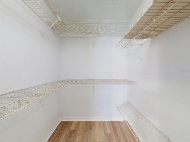 walk in closet featuring wood finished floors