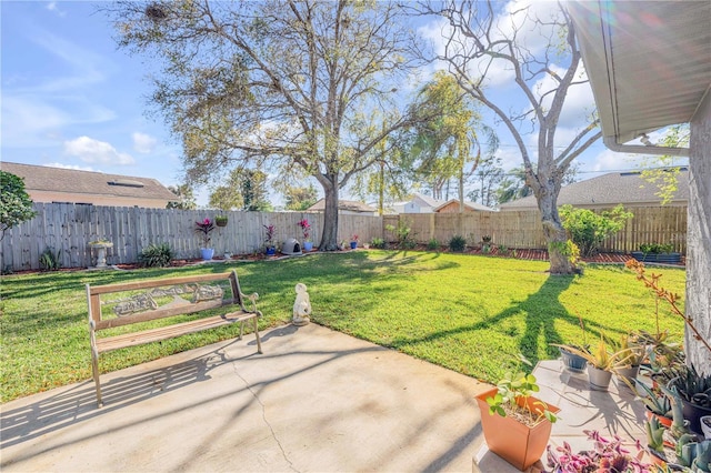 view of yard with a patio area and a fenced backyard