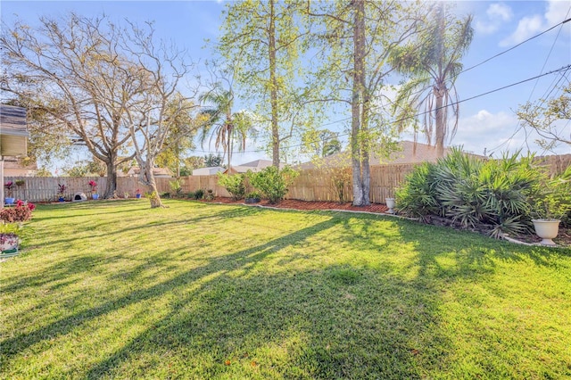 view of yard featuring a fenced backyard