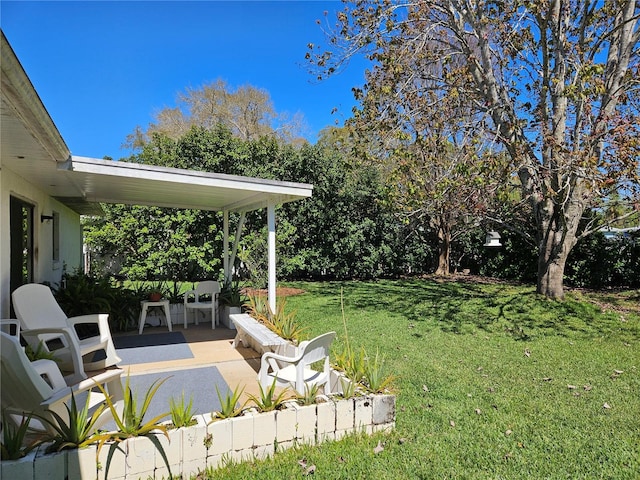 view of yard featuring a patio