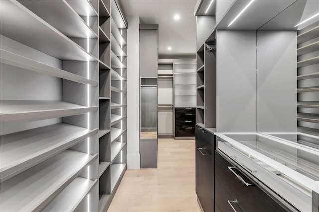 walk in closet with light wood-style floors