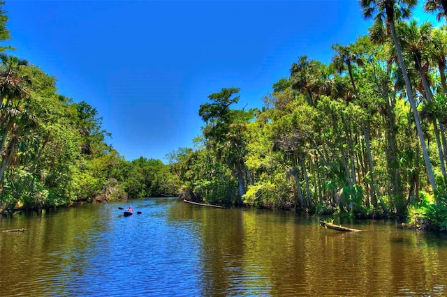 property view of water with a view of trees