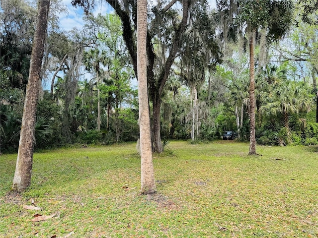 view of yard featuring a forest view