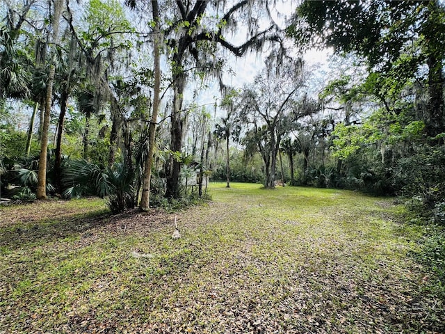 view of yard featuring a wooded view