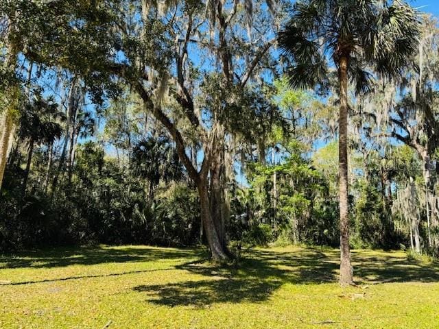 Elizabeth St, New Smyrna Beach FL, 32168 land for sale