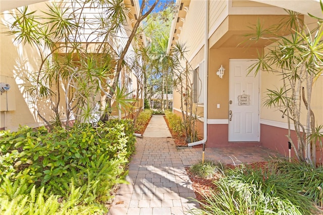 entrance to property featuring stucco siding