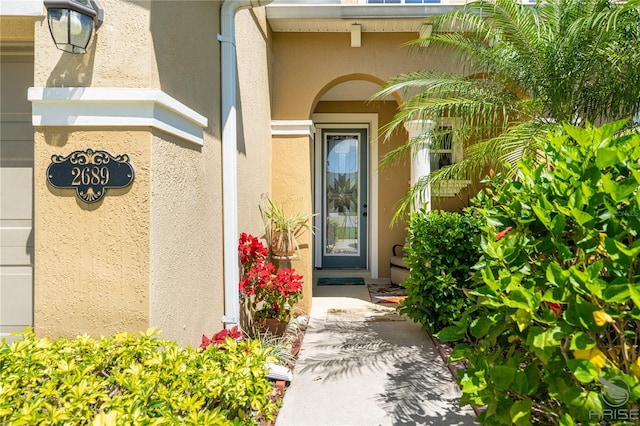 doorway to property featuring stucco siding