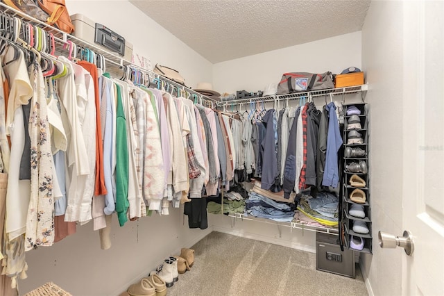 walk in closet featuring carpet flooring