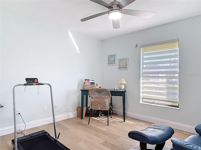 home office with plenty of natural light, light wood-style flooring, and a textured ceiling