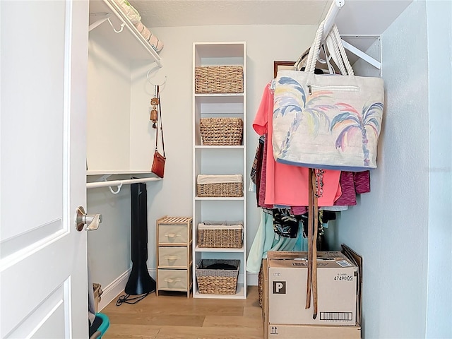 walk in closet featuring wood finished floors