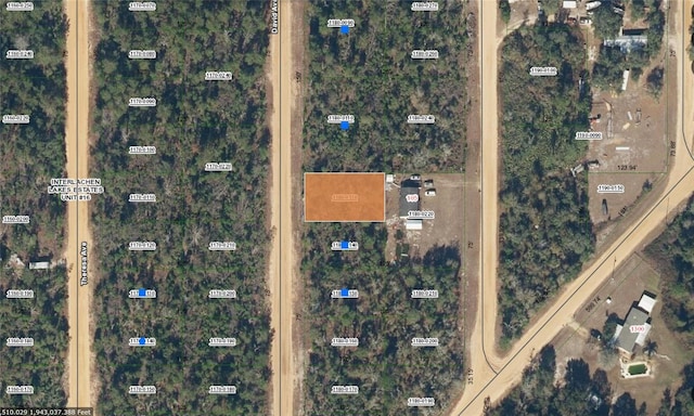 David, Interlachen FL, 32148 land for sale