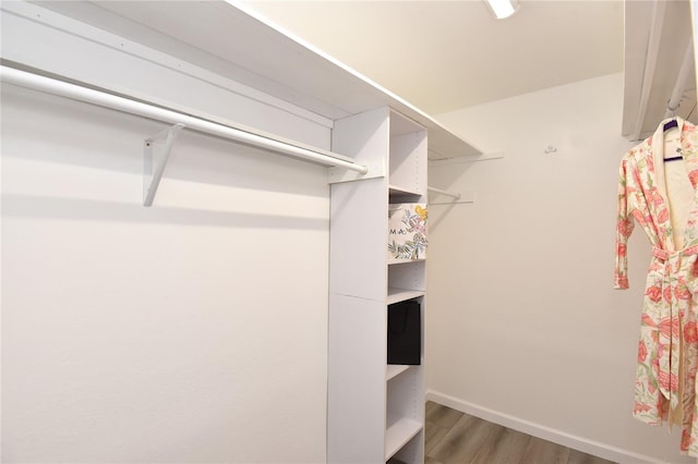 walk in closet featuring wood finished floors