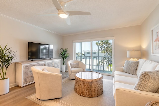 living room featuring a textured ceiling, ornamental molding, light wood finished floors, and ceiling fan