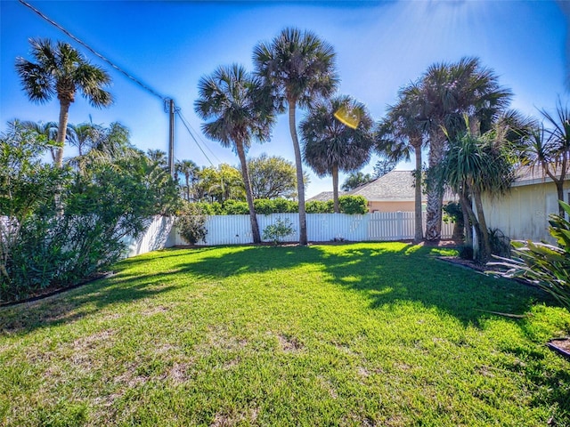 view of yard featuring a fenced backyard