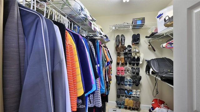 view of walk in closet