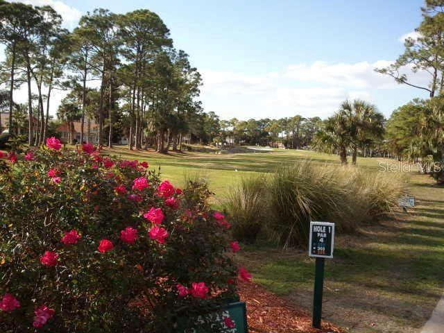 surrounding community featuring a yard