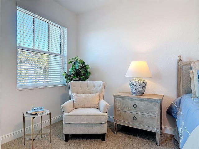 living area with baseboards and carpet flooring