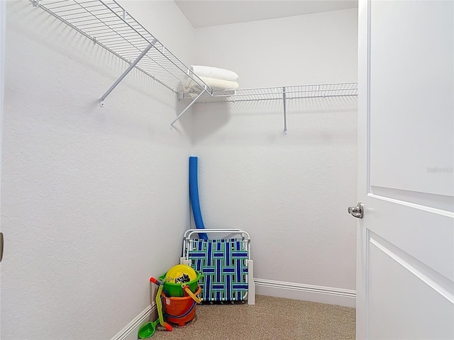 spacious closet with carpet