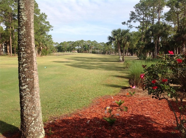 919 Fairvilla Dr, New Smyrna Beach, FL 32168 - view of home's community featuring a lawn