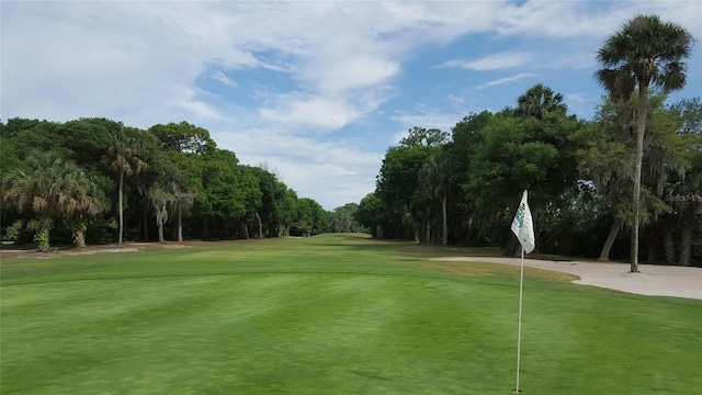 919 Fairvilla Dr, New Smyrna Beach, FL 32168 - surrounding community with a lawn and view of golf course