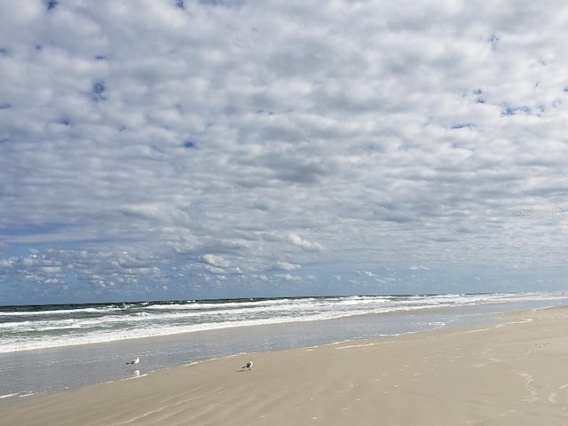 919 Fairvilla Dr, New Smyrna Beach, FL 32168 - view of water feature with a view of the beach