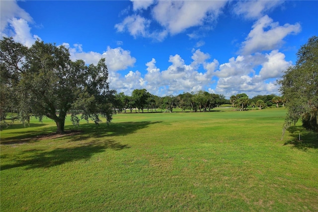 219 Club House Blvd, New Smyrna Beach, FL 32168 - photo 22