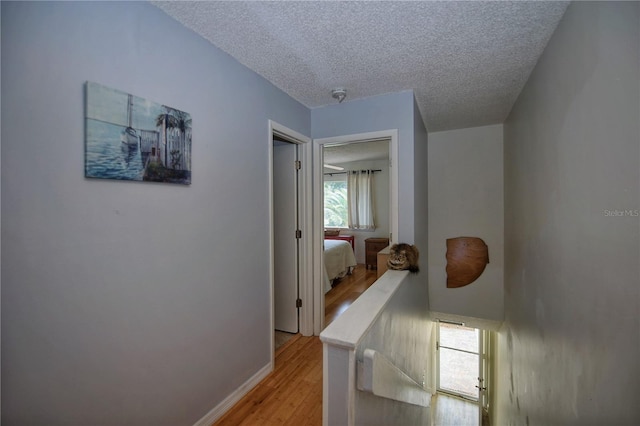 219 Club House Blvd, New Smyrna Beach, FL 32168 - photo 23