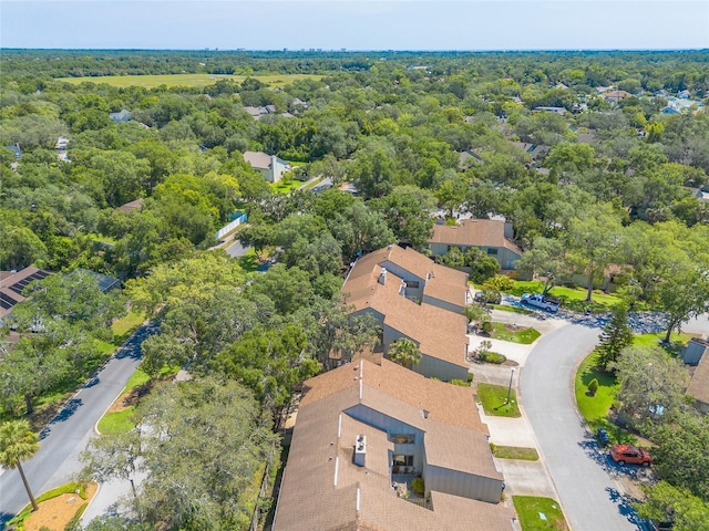 210 Pine Cone Trl, Ormond Beach, FL 32174 - aerial view of a forest