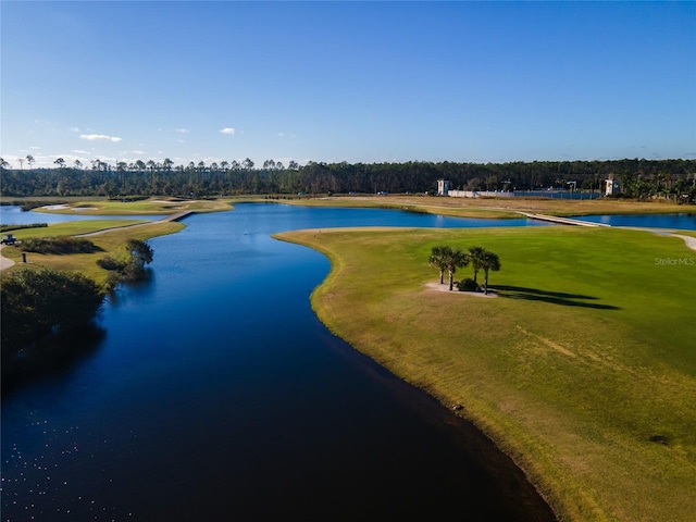 3045 Borassus Dr, New Smyrna Beach, FL 32168 - photo 35