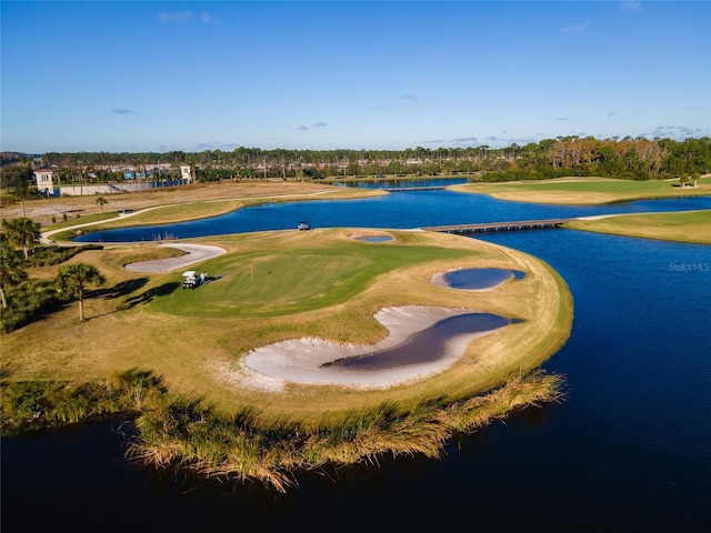 3045 Borassus Dr, New Smyrna Beach, FL 32168 - photo 36