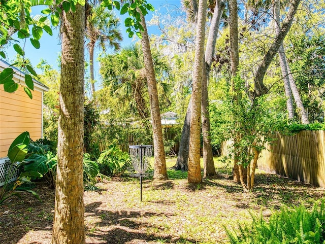 536 Faulkner St, New Smyrna Beach, FL 32168 - view of yard with fence
