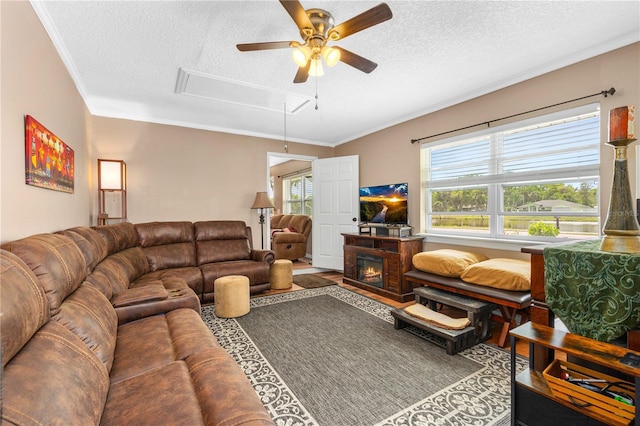 living room with attic access, ornamental molding, ceiling fan, a glass covered fireplace, and wood finished floors