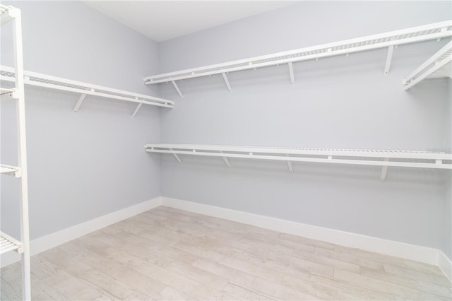 113 Douglas St, Edgewater, FL 32141 - walk in closet with light wood-style floors